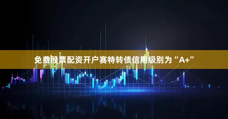 免费股票配资开户赛特转债信用级别为“A+”