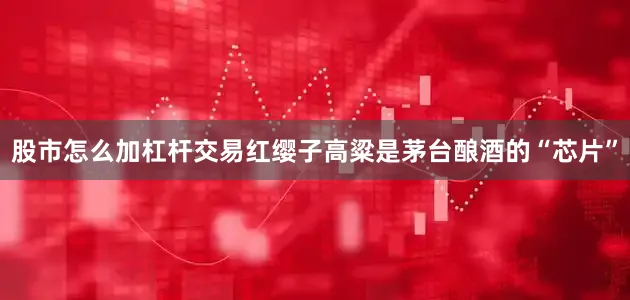 股市怎么加杠杆交易红缨子高粱是茅台酿酒的“芯片”
